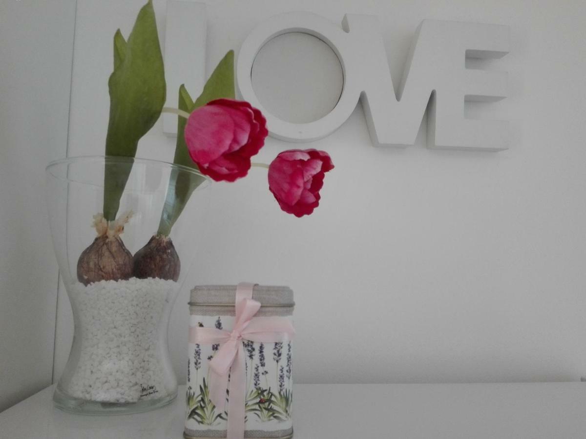 Apartment - Ivo Čižići エクステリア 写真